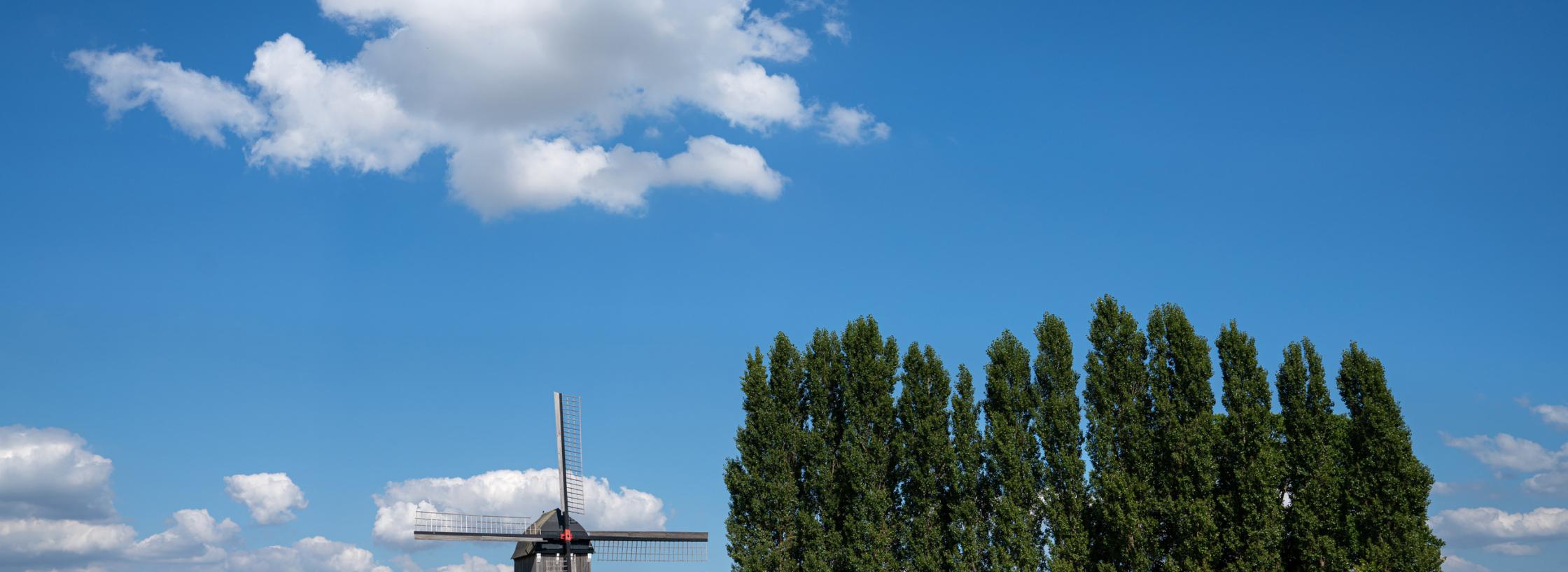 Symbolfoto zum Thema Landingpages/titz